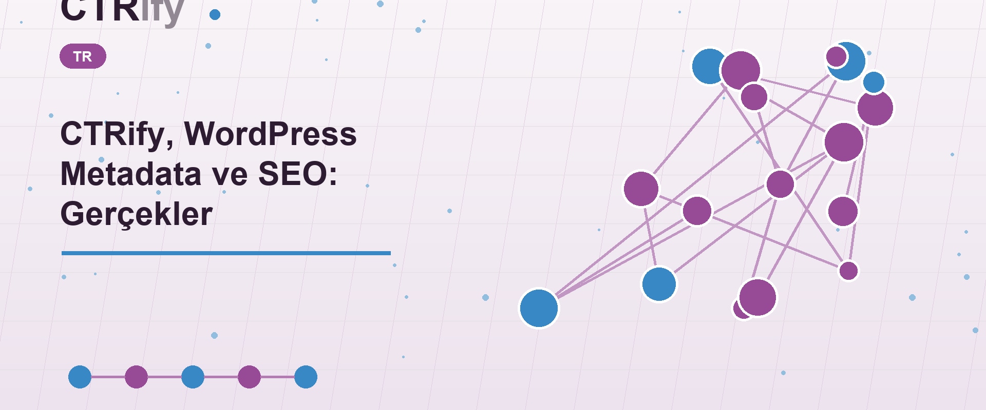 CTRify, WordPress Metadata ve SEO: Gerçekler