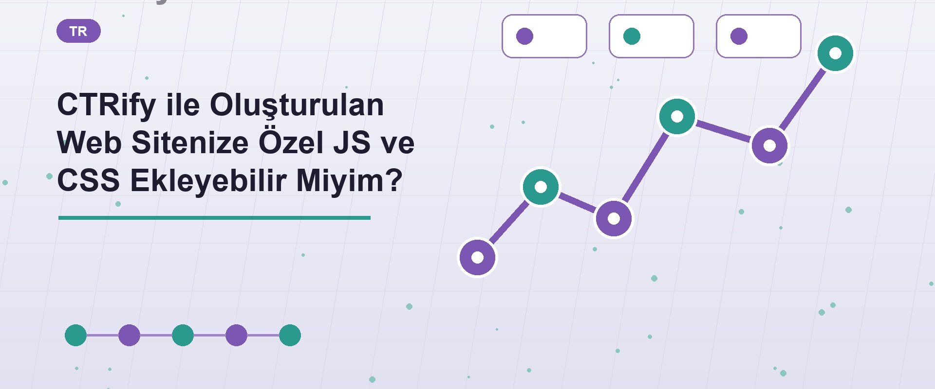 CTRify ile Oluşturulan Web Sitenize Özel JS ve CSS Ekleyebilir Miyim?