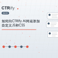 如何向CTRify AI网站添加自定义JS和CSS