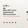 Miten SEO toimii täydellisessä SEO-sivustossa