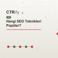 Hangi SEO Teknikleri Popüler?