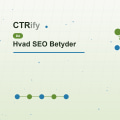 Hvad SEO Betyder
