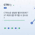 CTRify로 생성한 웹사이트에 TXT 레코드를 추가할 수 있나요?