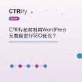 CTRify如何利用WordPress元数据进行SEO优化？