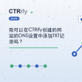 我可以在CTRify创建的网站的DNS设置中添加TXT记录吗?