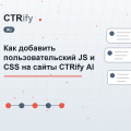 Как добавить пользовательский JS и CSS на сайты CTRify AI