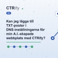 Kan jag lägga till TXT-poster i DNS-inställningarna för min A.I.-skapade webbplats med CTRify?