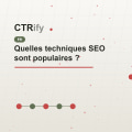 Quelles techniques SEO sont populaires ?