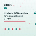 Hva betyr SEO sandbox for en ny nettside i CTRify