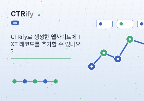 CTRify로 생성한 웹사이트에 TXT 레코드를 추가할 수 있나요?