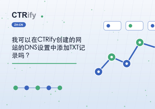 我可以在CTRify创建的网站的DNS设置中添加TXT记录吗?
