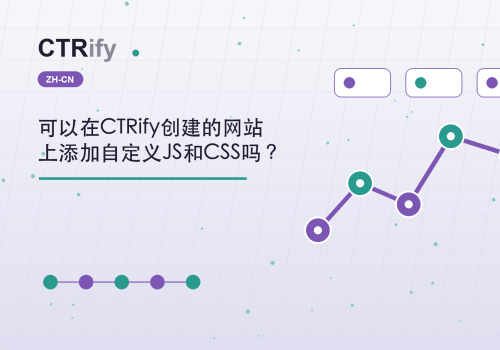 可以在CTRify创建的网站上添加自定义JS和CSS吗？